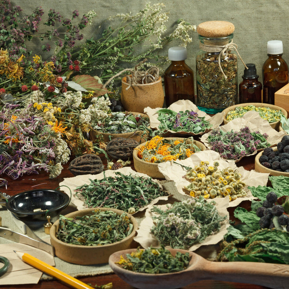 Scientific studies that have proven the capacity of herbs to fight infection