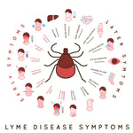 Awareness of the Symptoms and Diagnosis of Lyme Disease and the Ways to Prevent It
