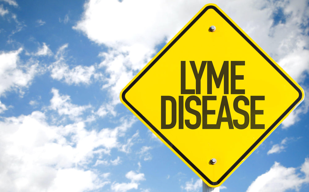Lyme, Herb, and Treating Lyme with Herbs
